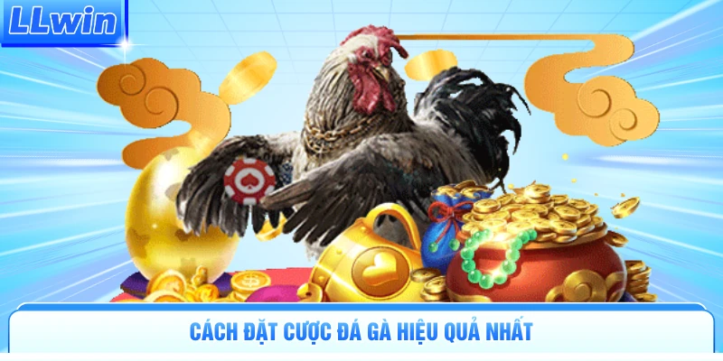 Cách đặt cược đá gà hiệu quả nhất
