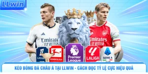 Kèo Bóng Đá Châu Á Tại Llwin - Cách Đọc Tỷ Lệ Cực Hiệu Quả